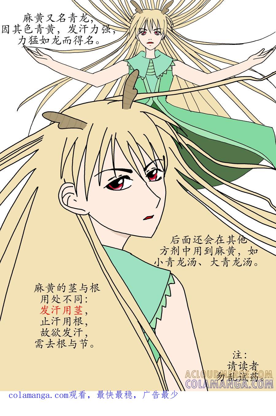 《本草传》麻黄汤 第6页