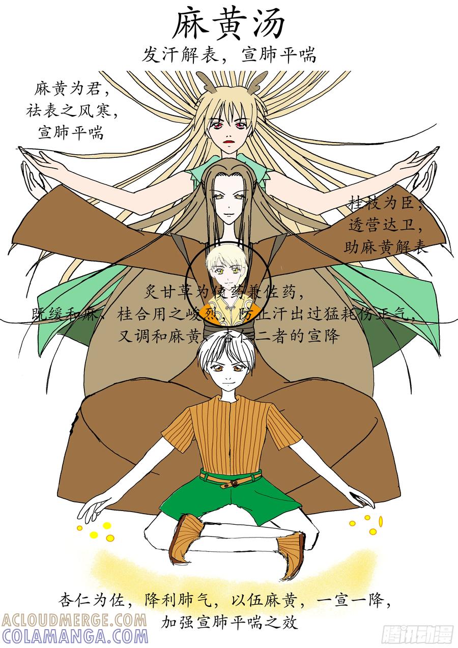 《本草传》麻黄汤 第3页