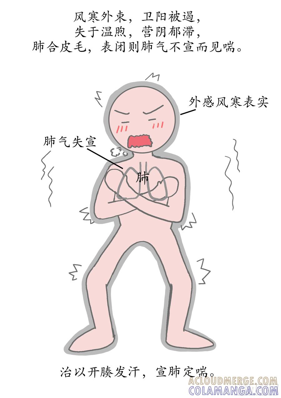 《本草传》麻黄汤 第2页