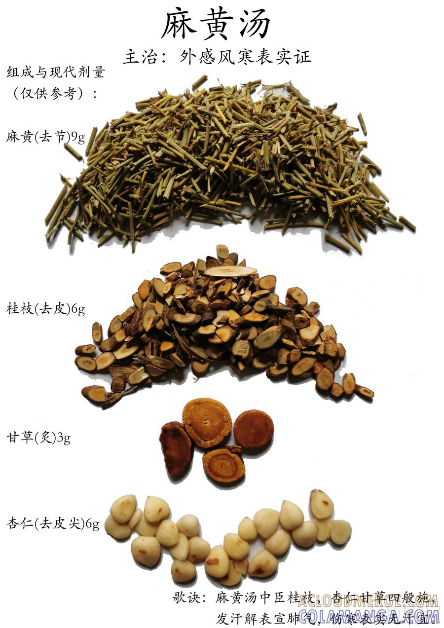 《本草传》麻黄汤 第4页