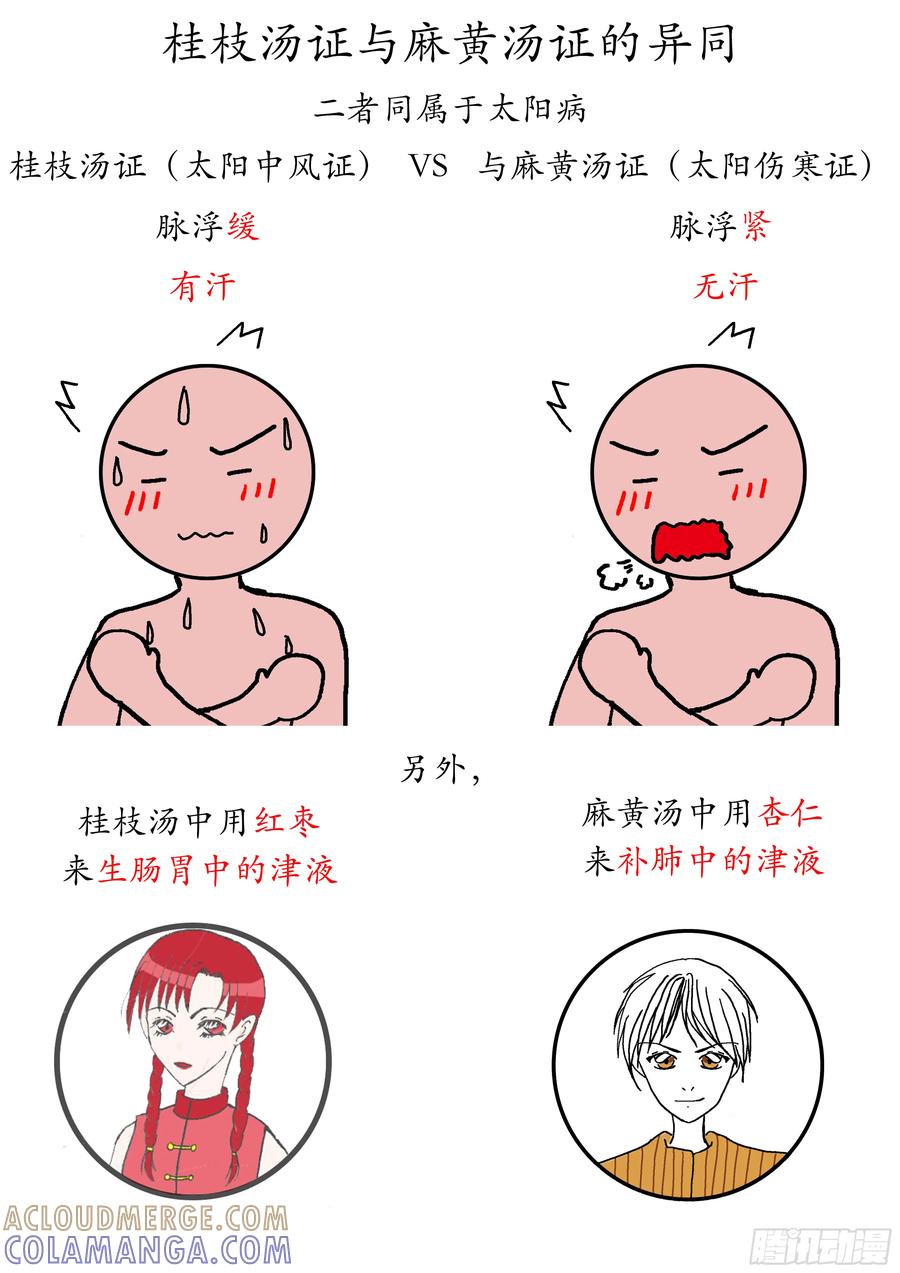 《本草传》麻黄汤 第5页