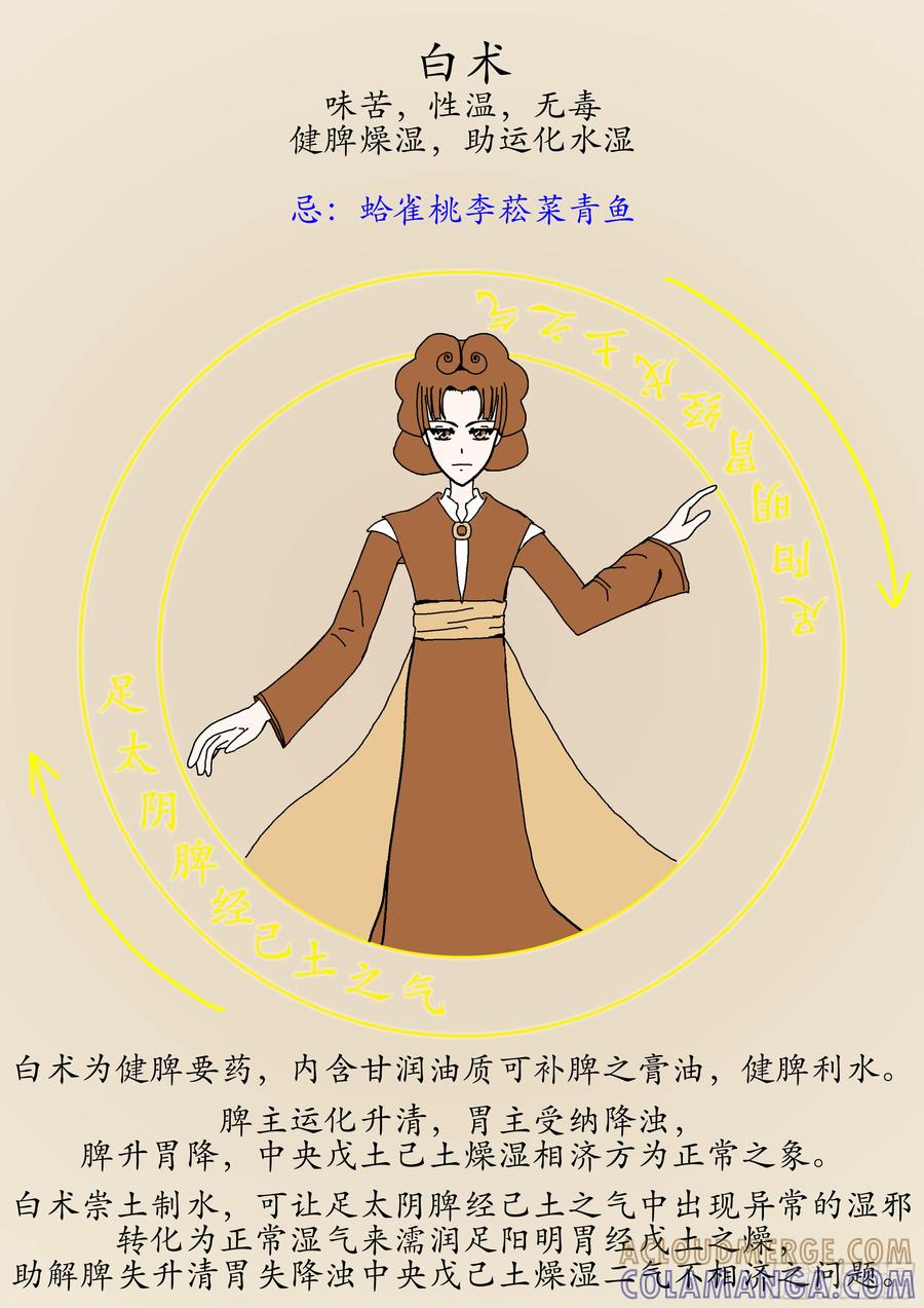 《本草传》理中丸 第3页