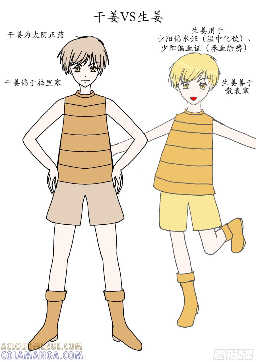 《本草传》理中丸 第5页