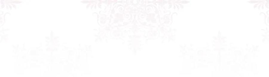 《爱丽丝的完美复仇》第3季 第22话 处以死刑 第28页