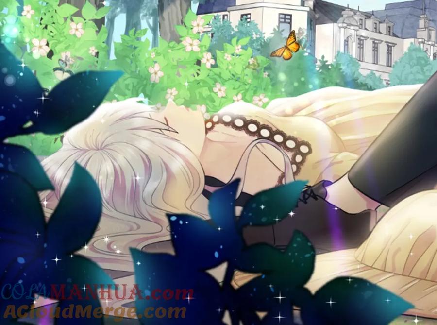 《爱丽丝的完美复仇》第1话 单纯公主的逆袭复仇 第85页