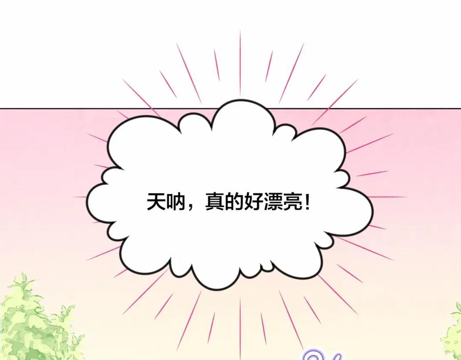 《爱丽丝的完美复仇》第43话 我也要为你准备惊喜！ 第34页