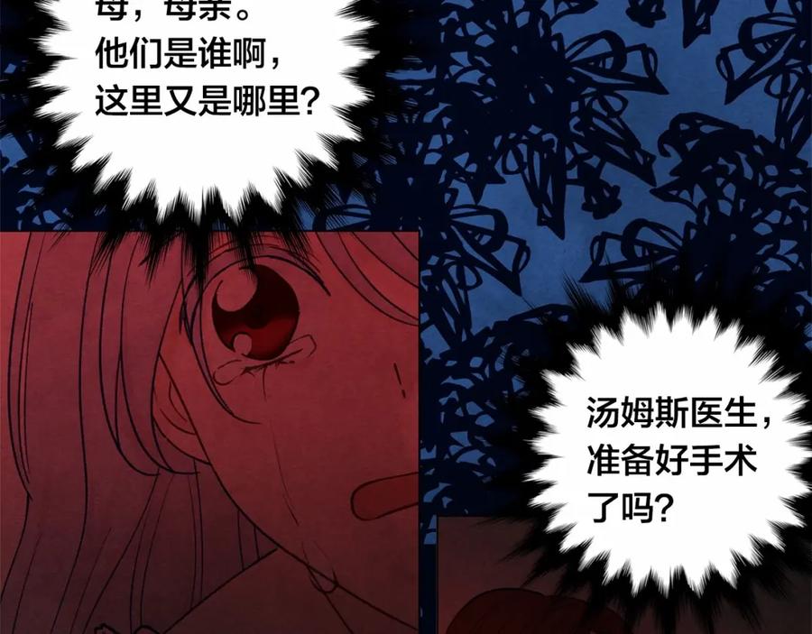 《爱丽丝的完美复仇》第46话 占有你的哥哥 第19页