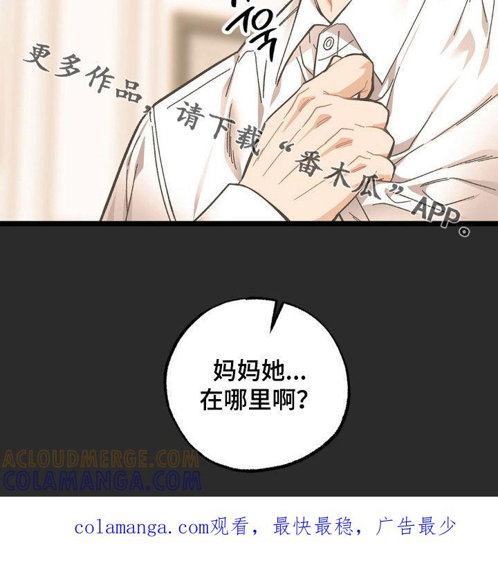 《浴火重生》第41章：妈妈在哪里 第23页