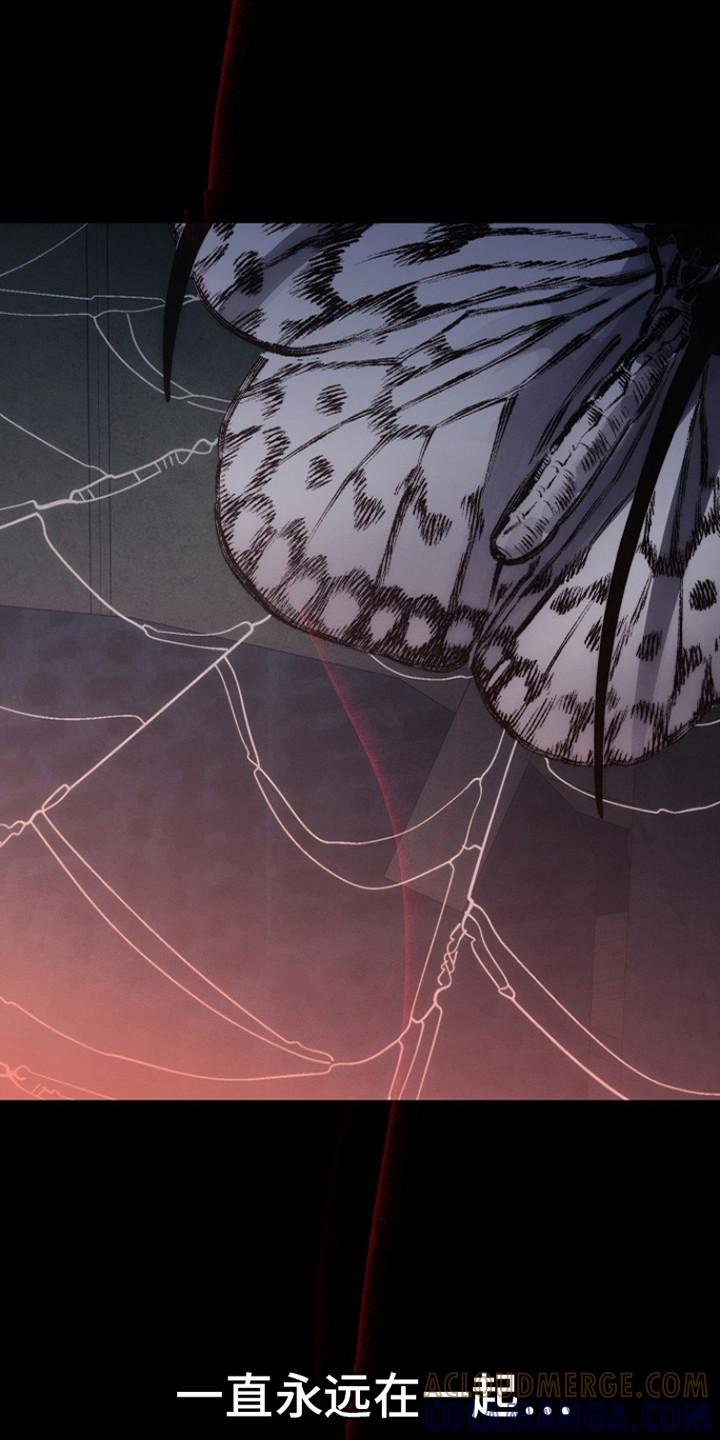 《血色公寓》第12章：翘首以盼 第13页