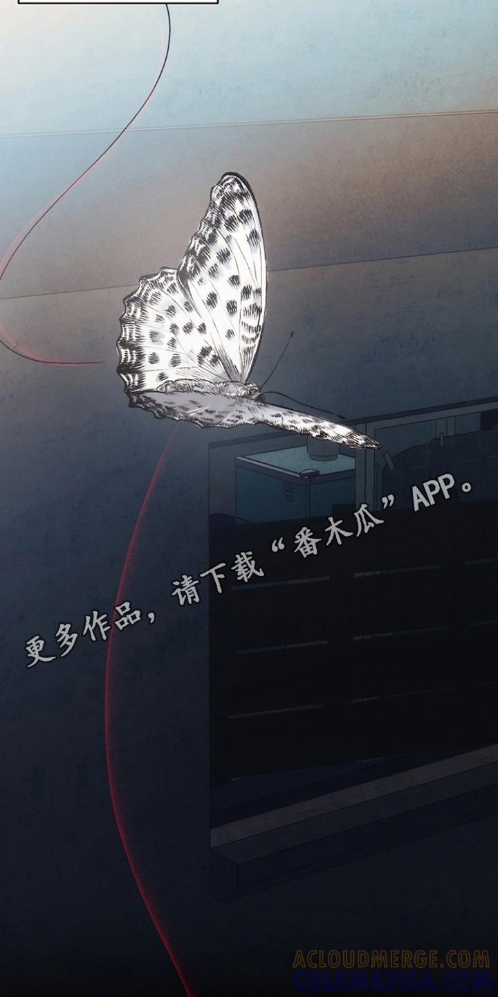 《血色公寓》第12章：翘首以盼 第11页
