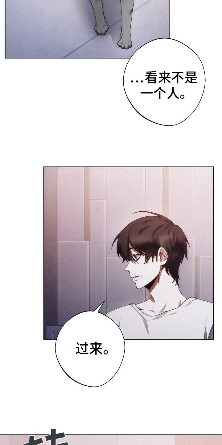 《血色公寓》第13章：公寓 第12页