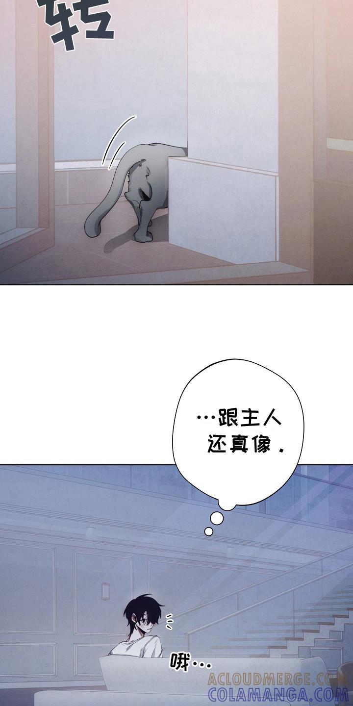《血色公寓》第13章：公寓 第13页