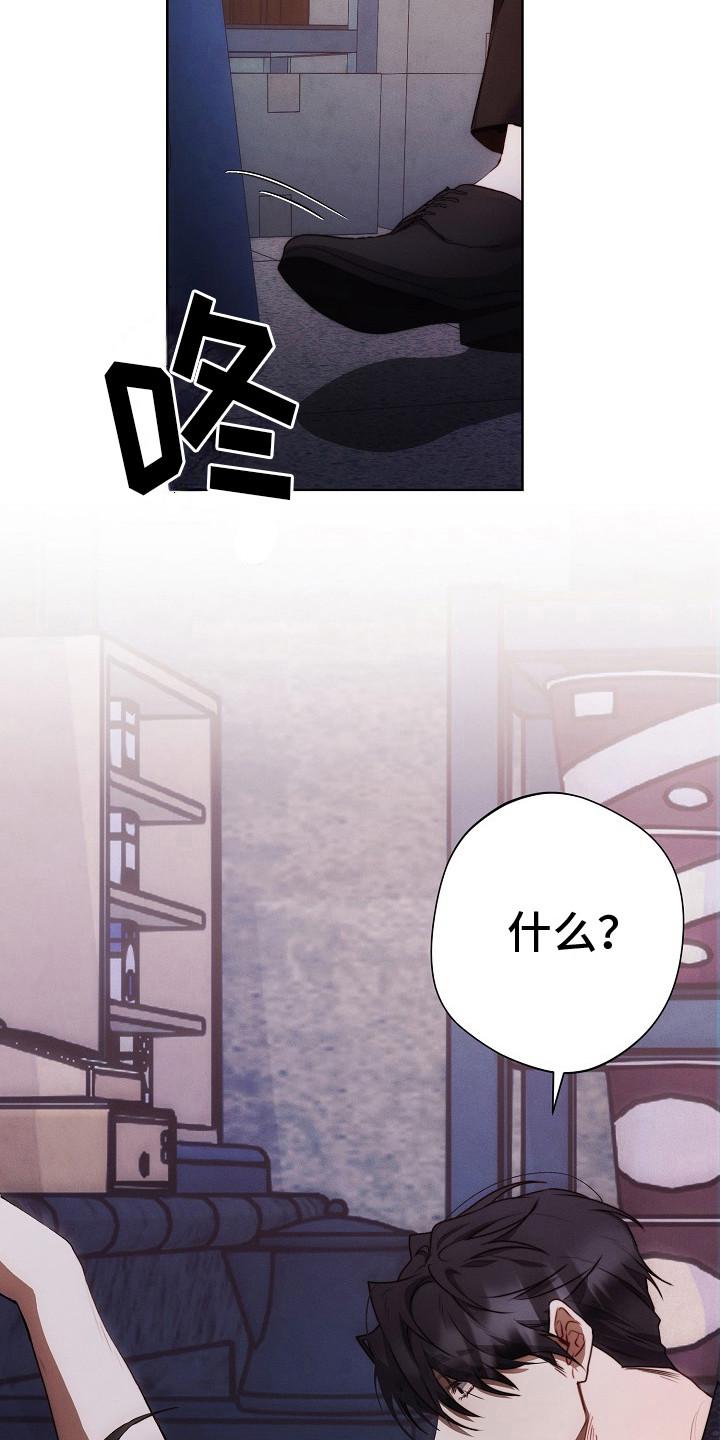 《血色公寓》第20章：结论 第6页