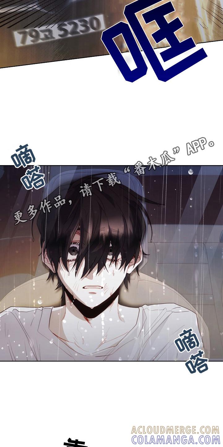 《血色公寓》第23章：下决心 第5页