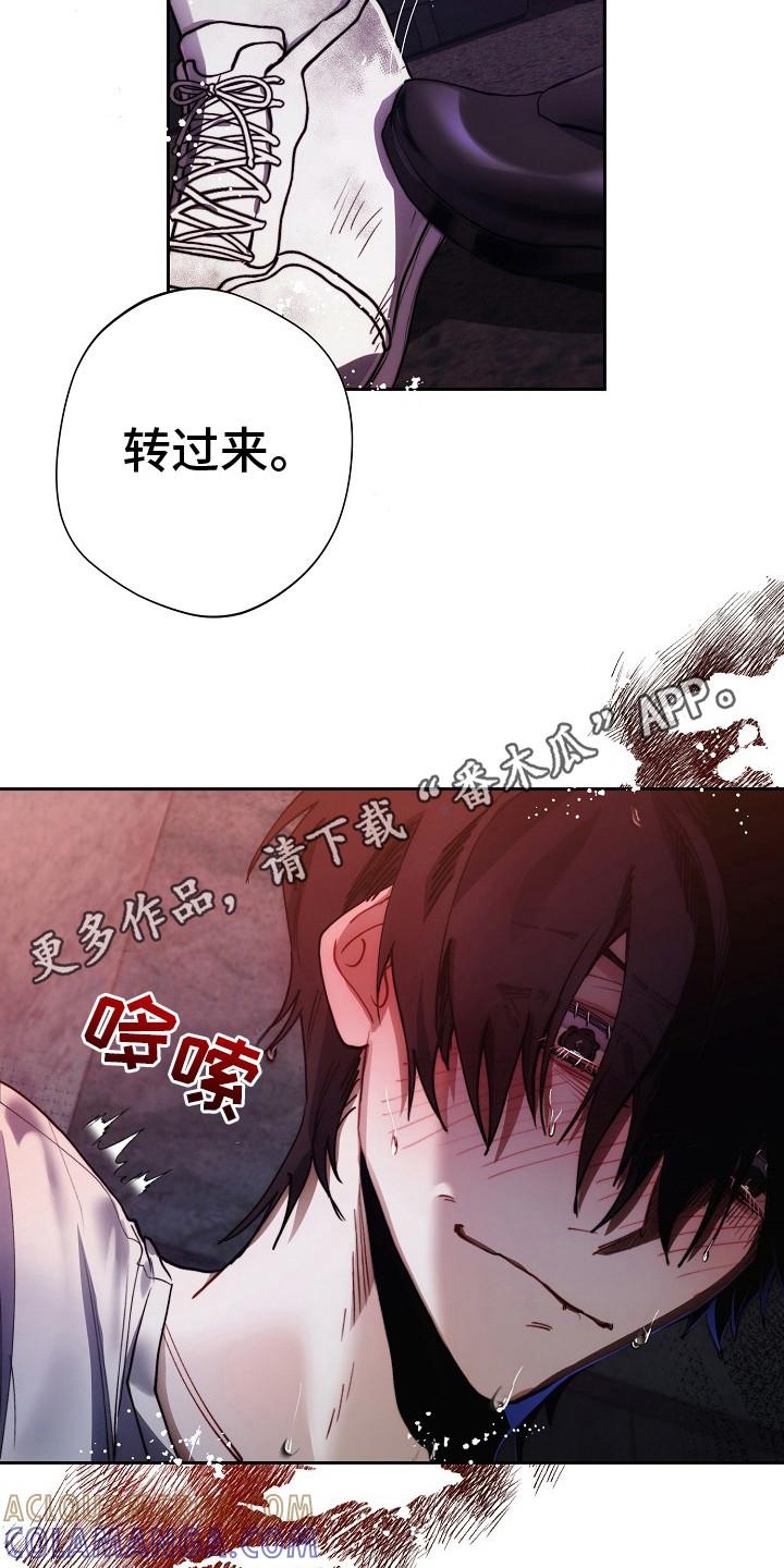 《血色公寓》第25章：很好奇 第11页
