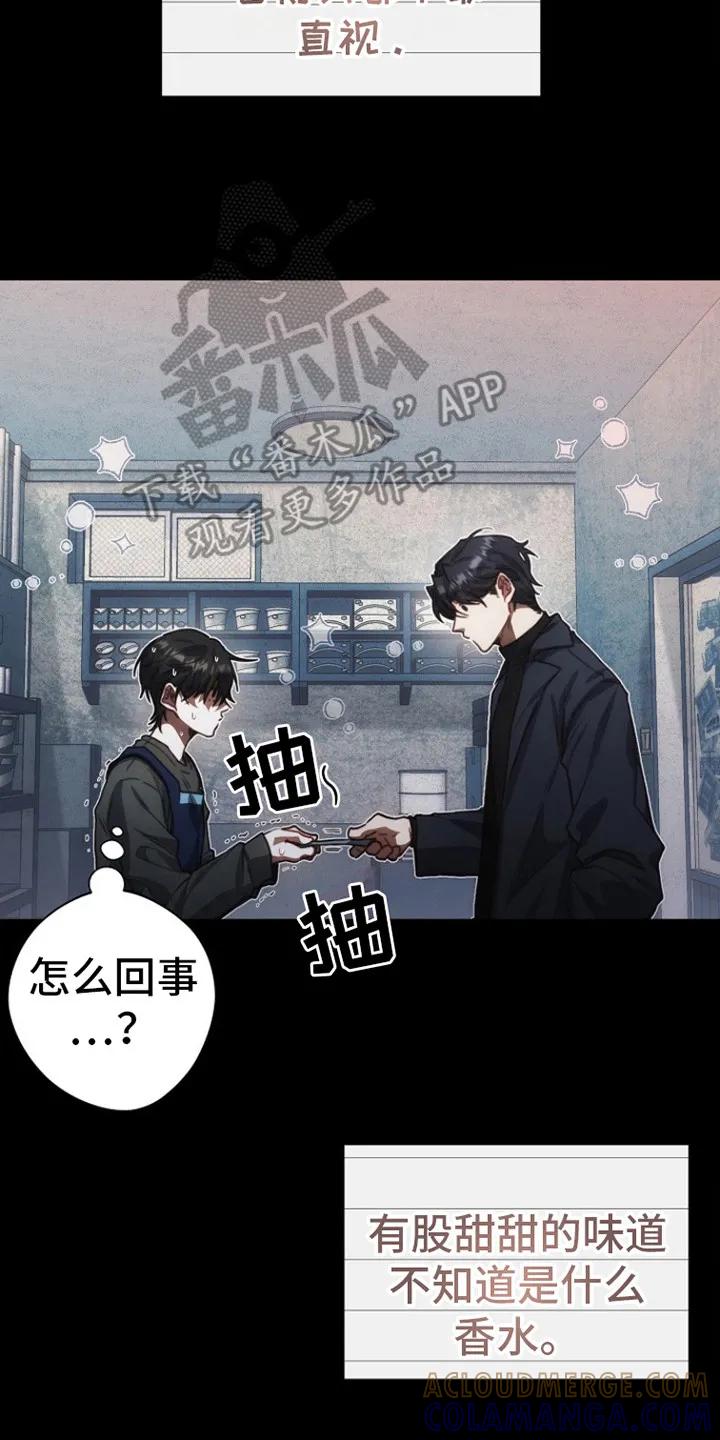 《血色公寓》第7章：很耀眼 第17页