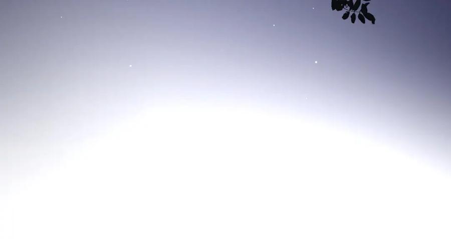 《爱情的样子：心之所向》番外 对戏 第47页