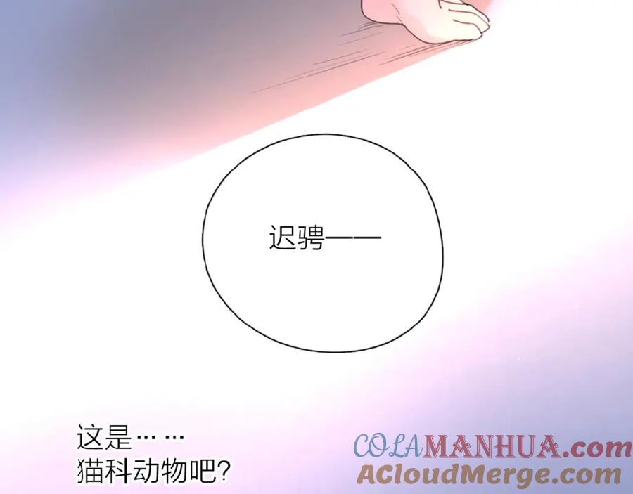 《爱情的样子：心之所向》番外 路炀讨厌迟骋的某些原因 第25页