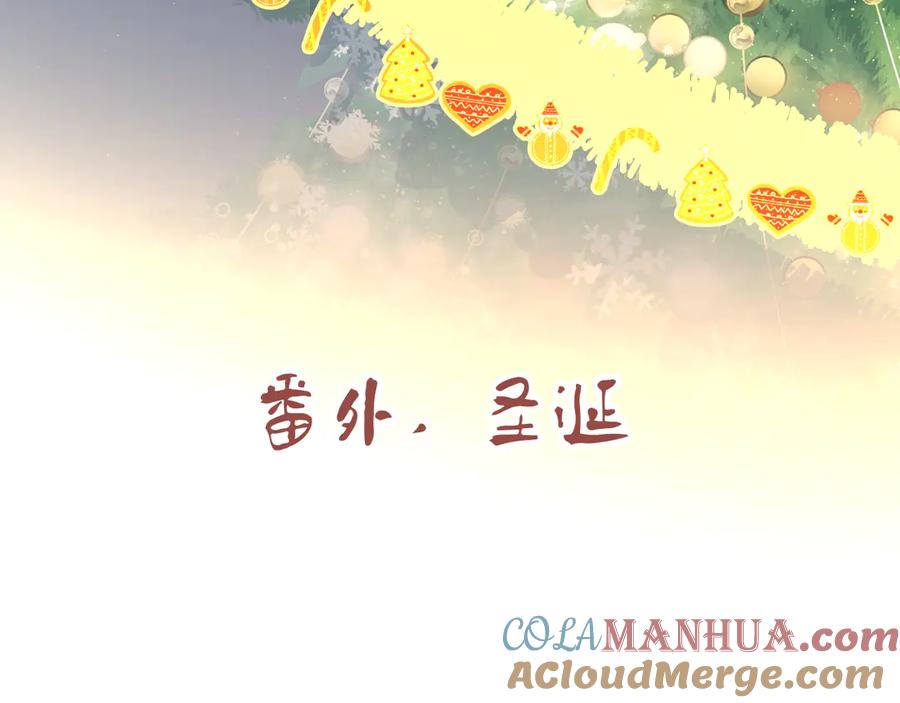 《爱情的样子：心之所向》番外：圣诞 第4页