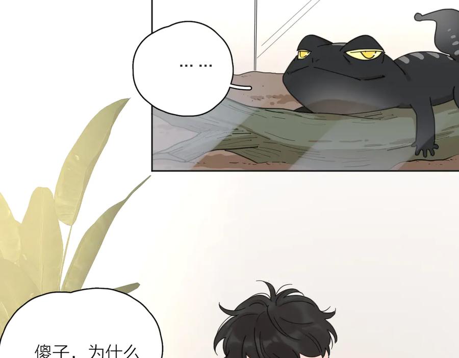 《爱情的样子：心之所向》番外.婚后假日 第42页