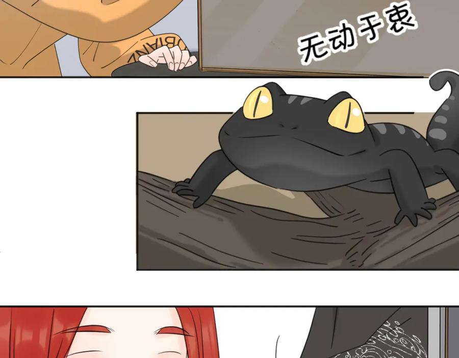 《爱情的样子：心之所向》第39话 也许这次不一样 第42页