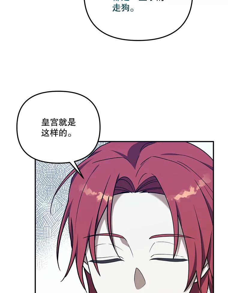 《无尽的诅咒》17.二皇子归来 第63页
