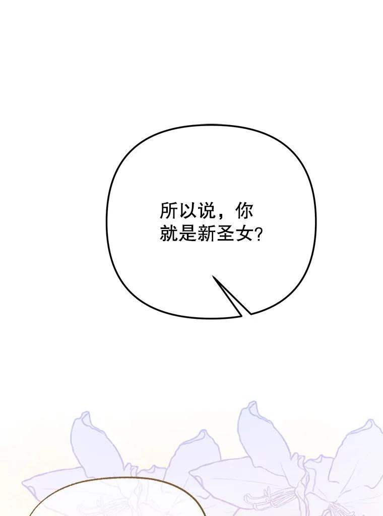 《圣女大人已黑化》45.新的圣女 第116页