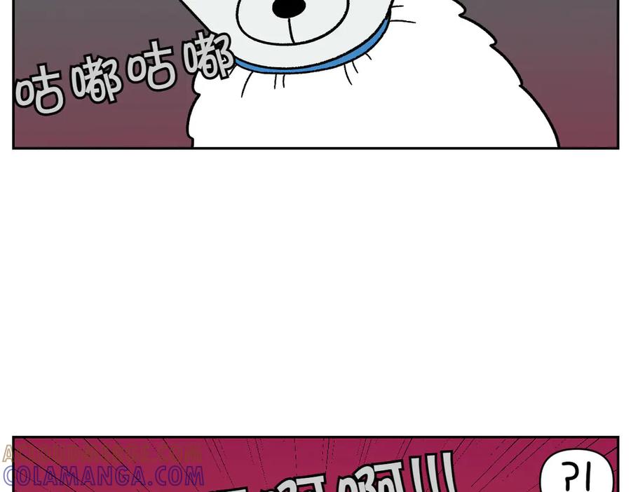 《我的狗子叫棉花》第43话 治疗眼病(2) 第49页