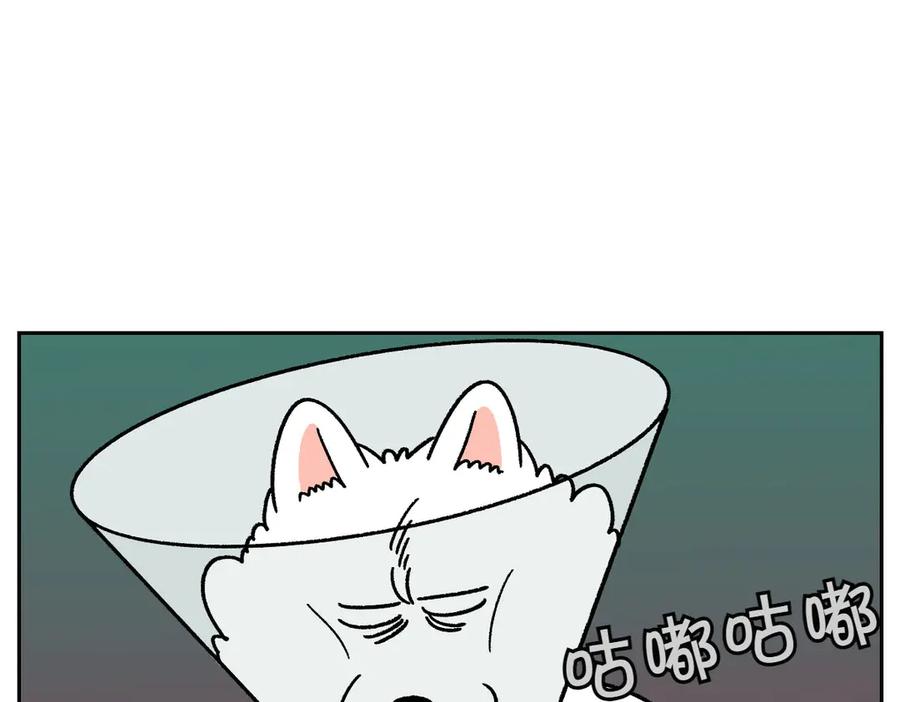《我的狗子叫棉花》第43话 治疗眼病(2) 第48页