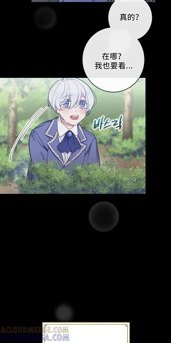 《爱上骑士团团长》第1章：偶像 第27页