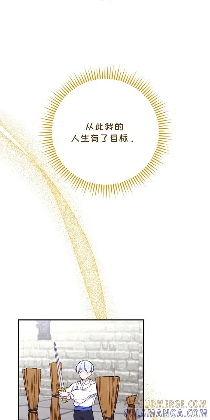 《爱上骑士团团长》第1章：偶像 第31页