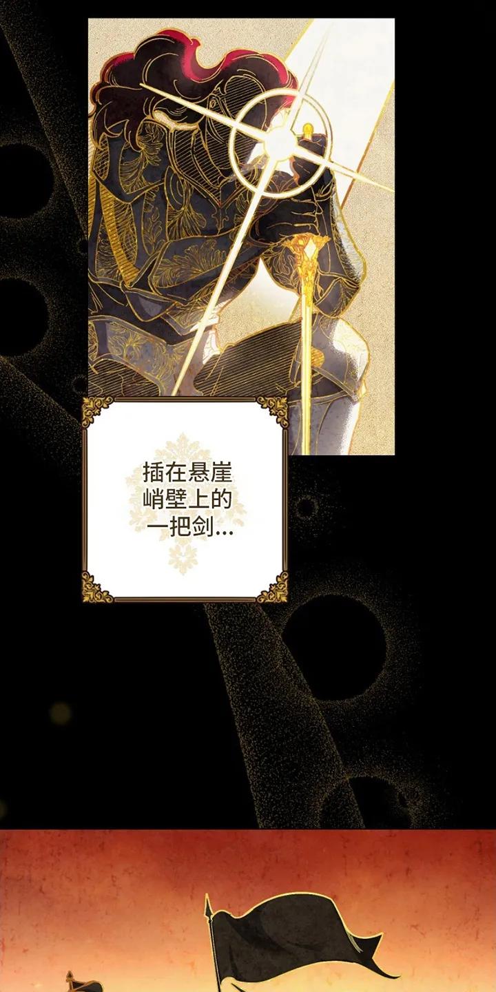 《爱上骑士团团长》第1章：偶像 第4页
