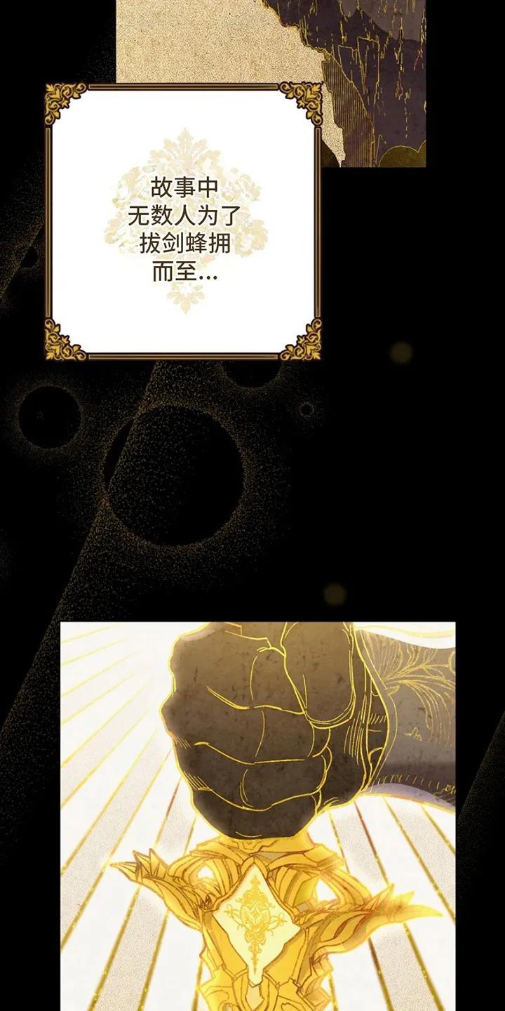 《爱上骑士团团长》第1章：偶像 第6页