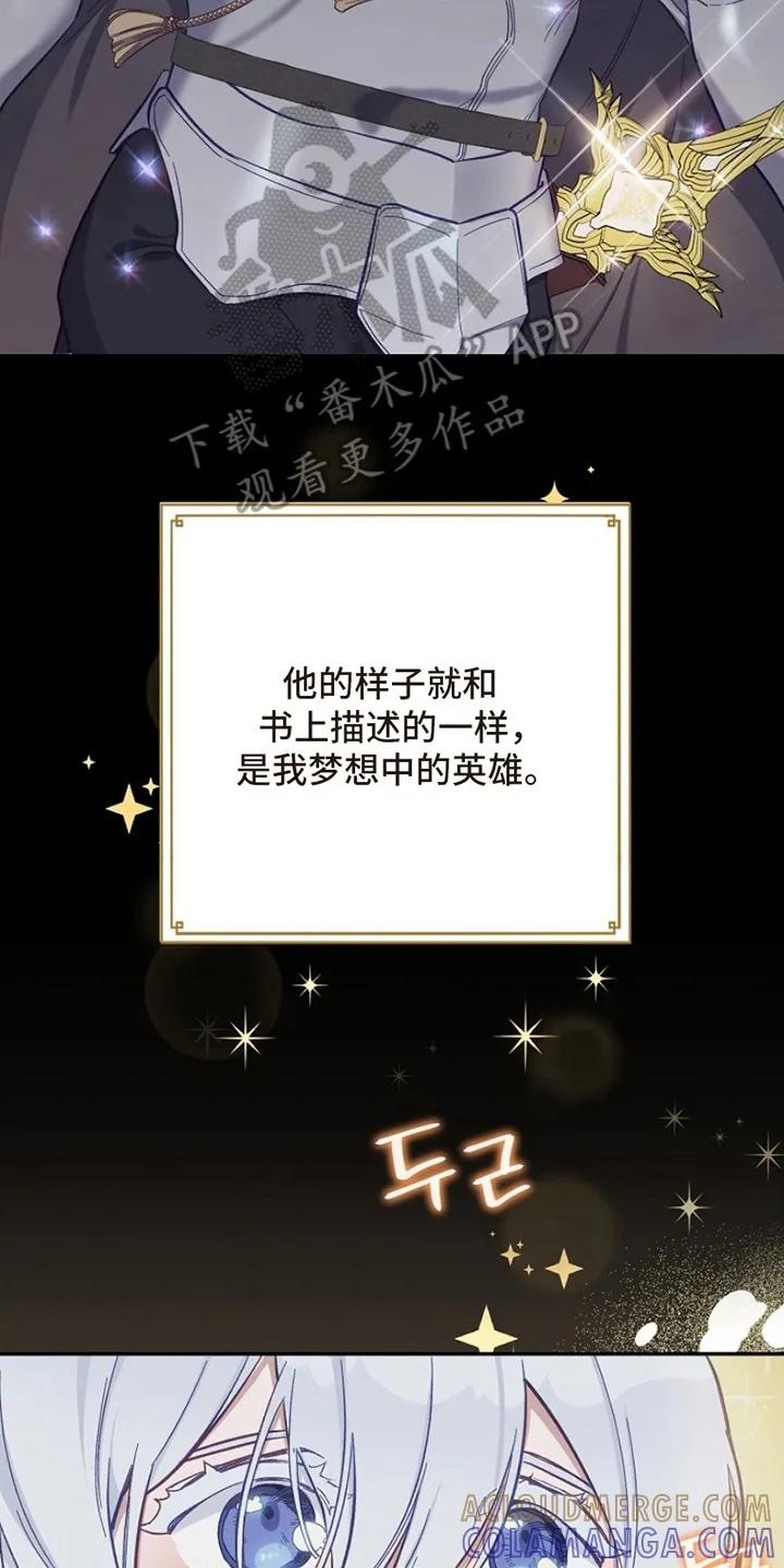 《爱上骑士团团长》第1章：偶像 第29页