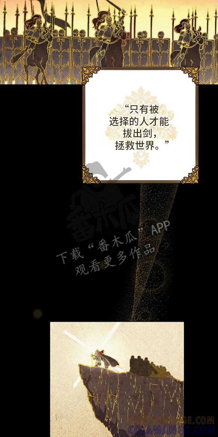 《爱上骑士团团长》第1章：偶像 第5页