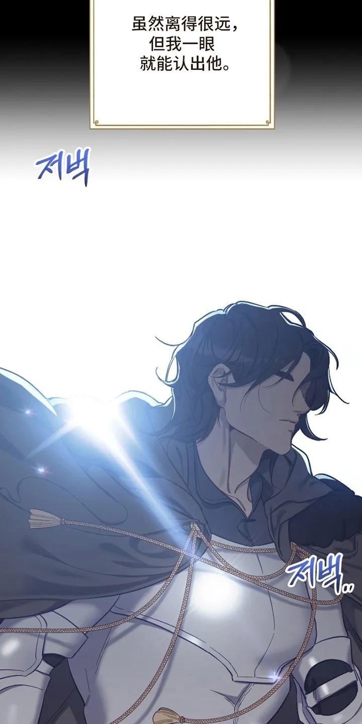 《爱上骑士团团长》第1章：偶像 第28页