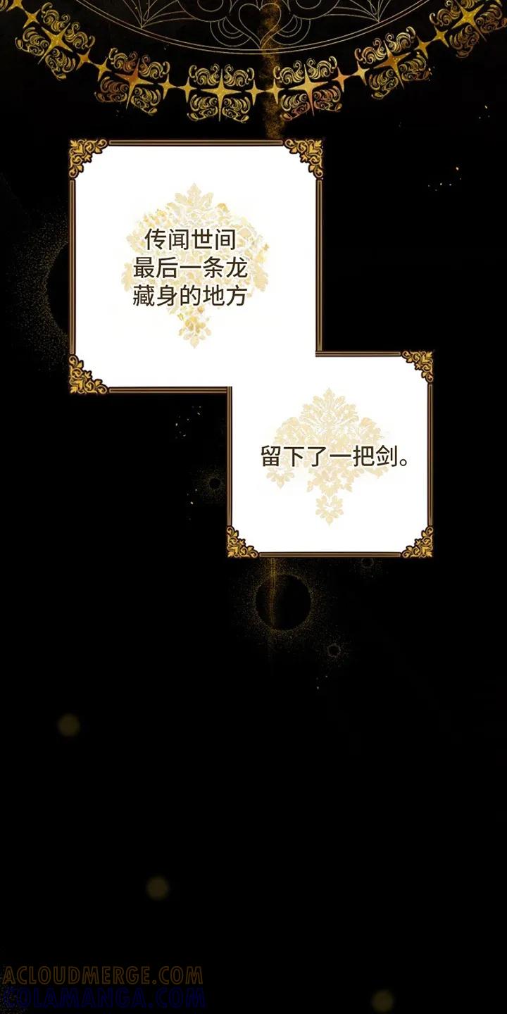 《爱上骑士团团长》第1章：偶像 第3页
