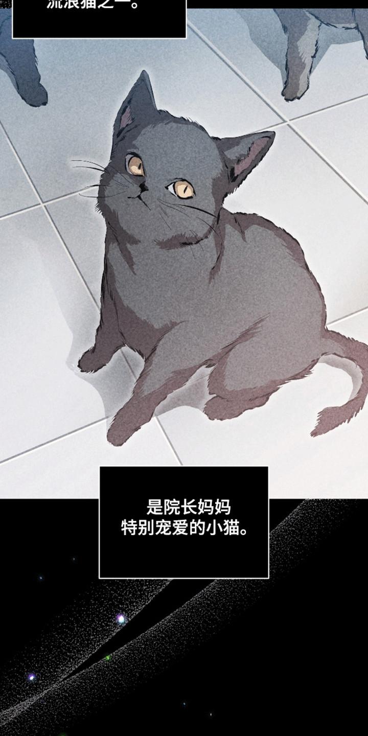 《法外狂徒》第12章：不感兴趣 第8页