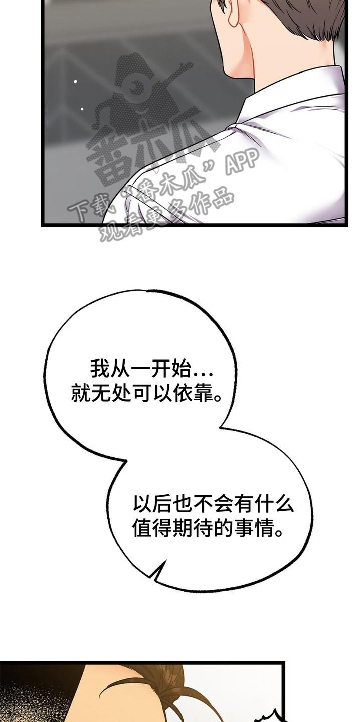 《浴火重生》第12章：期待 第14页