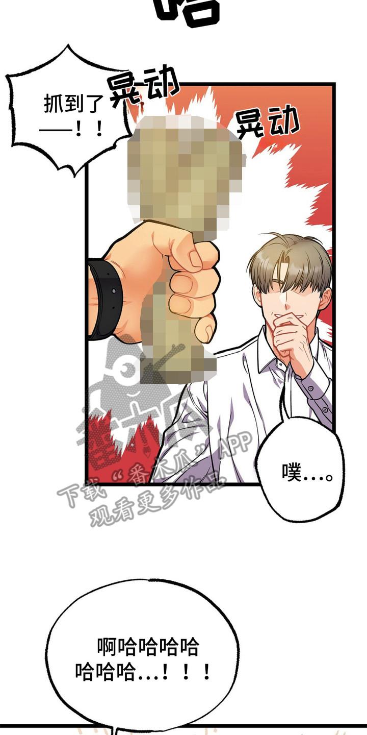 《浴火重生》第12章：期待 第20页