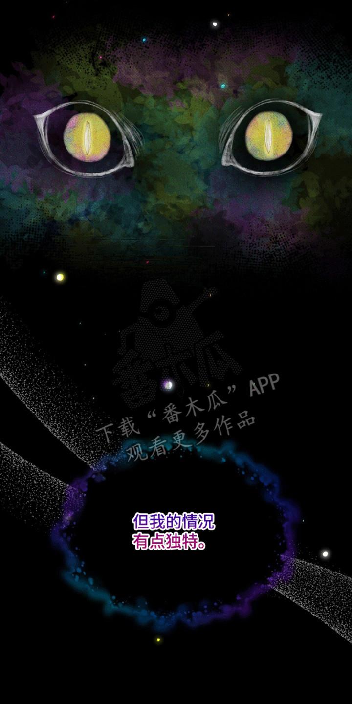 《法外狂徒》第12章：不感兴趣 第4页