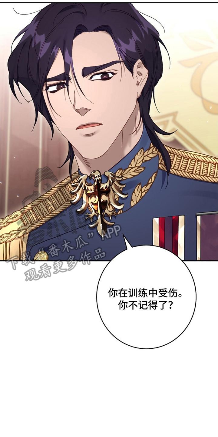 《爱上骑士团团长》第12章：训练受伤 第22页