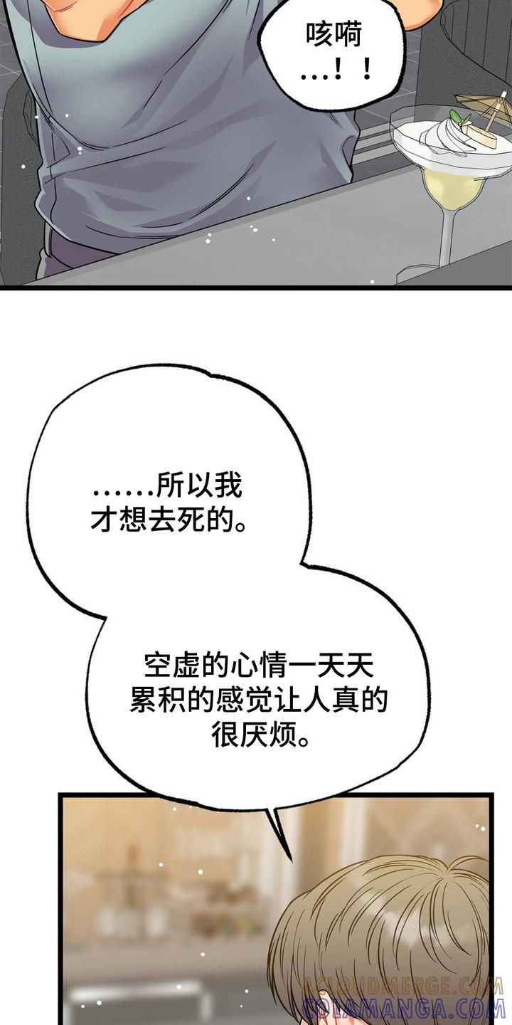 《浴火重生》第12章：期待 第13页