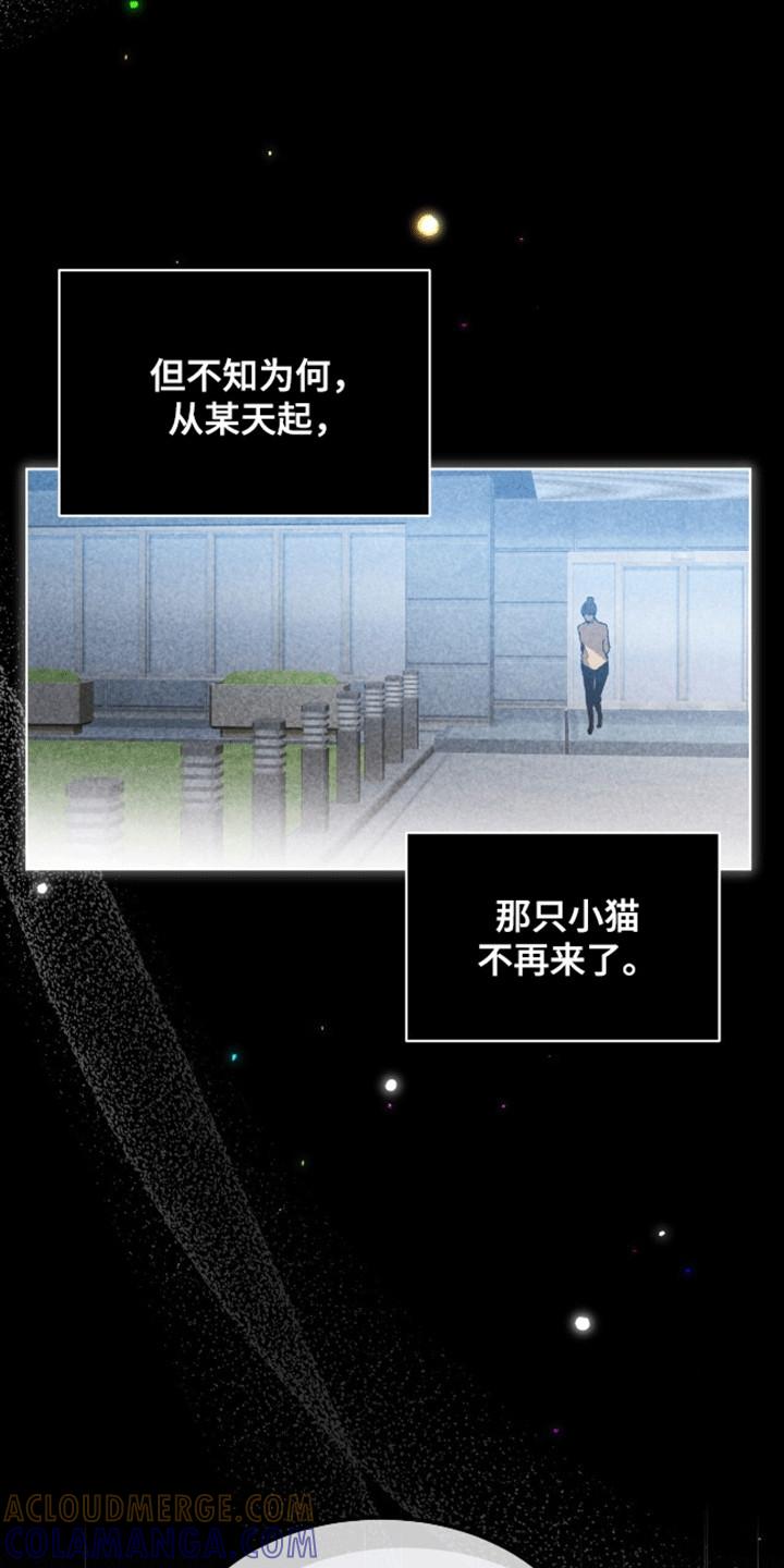《法外狂徒》第12章：不感兴趣 第9页