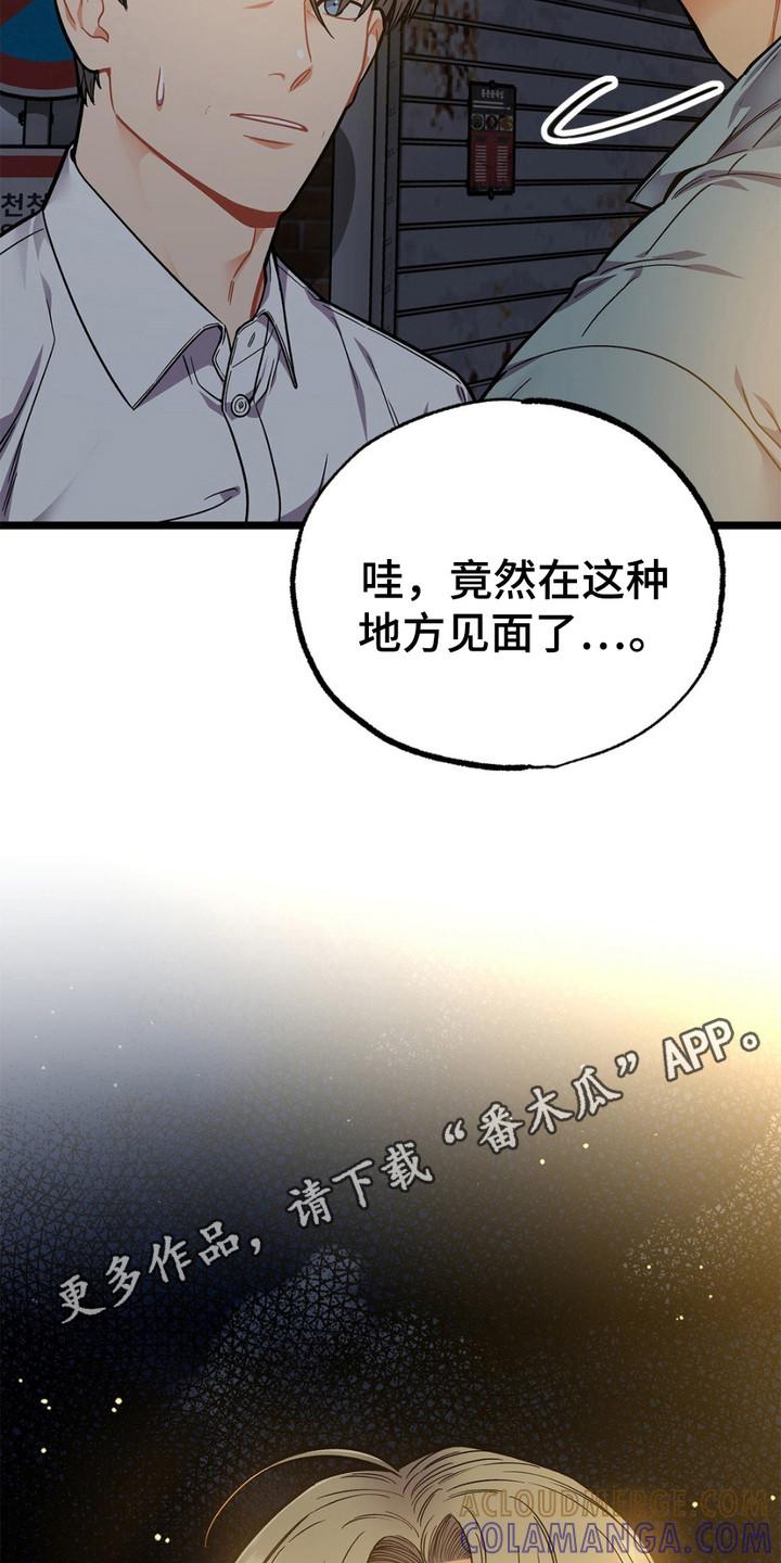 《浴火重生》第13章：胡说八道 第5页