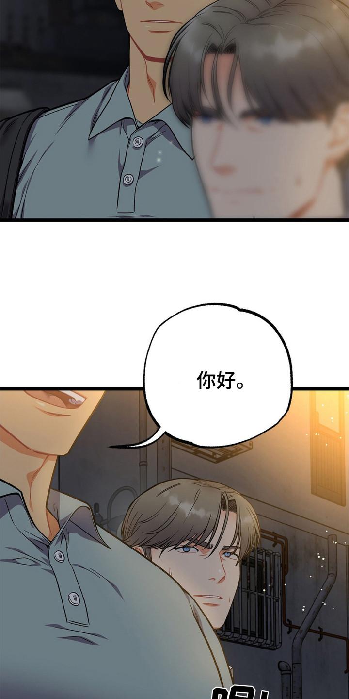 《浴火重生》第13章：胡说八道 第10页