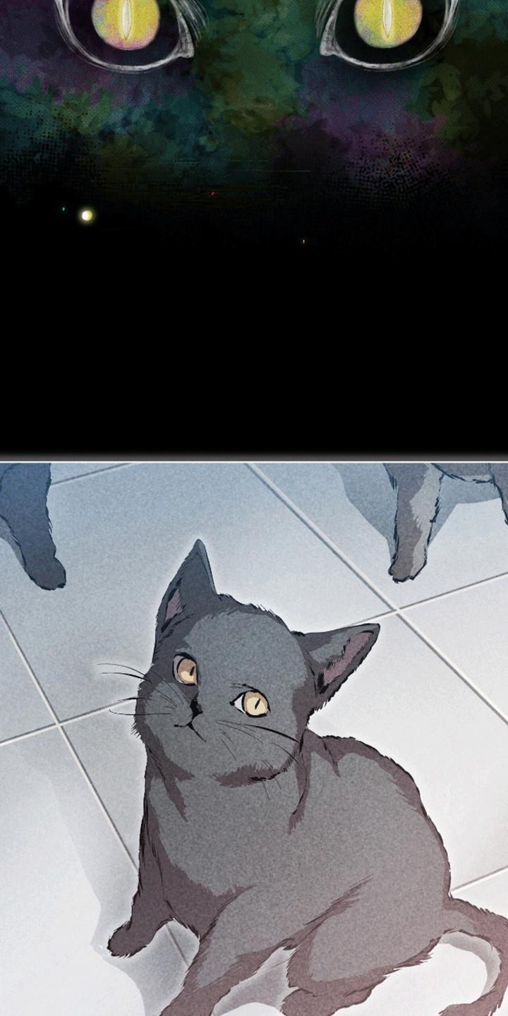 《法外狂徒》第13章：猫咪 第20页