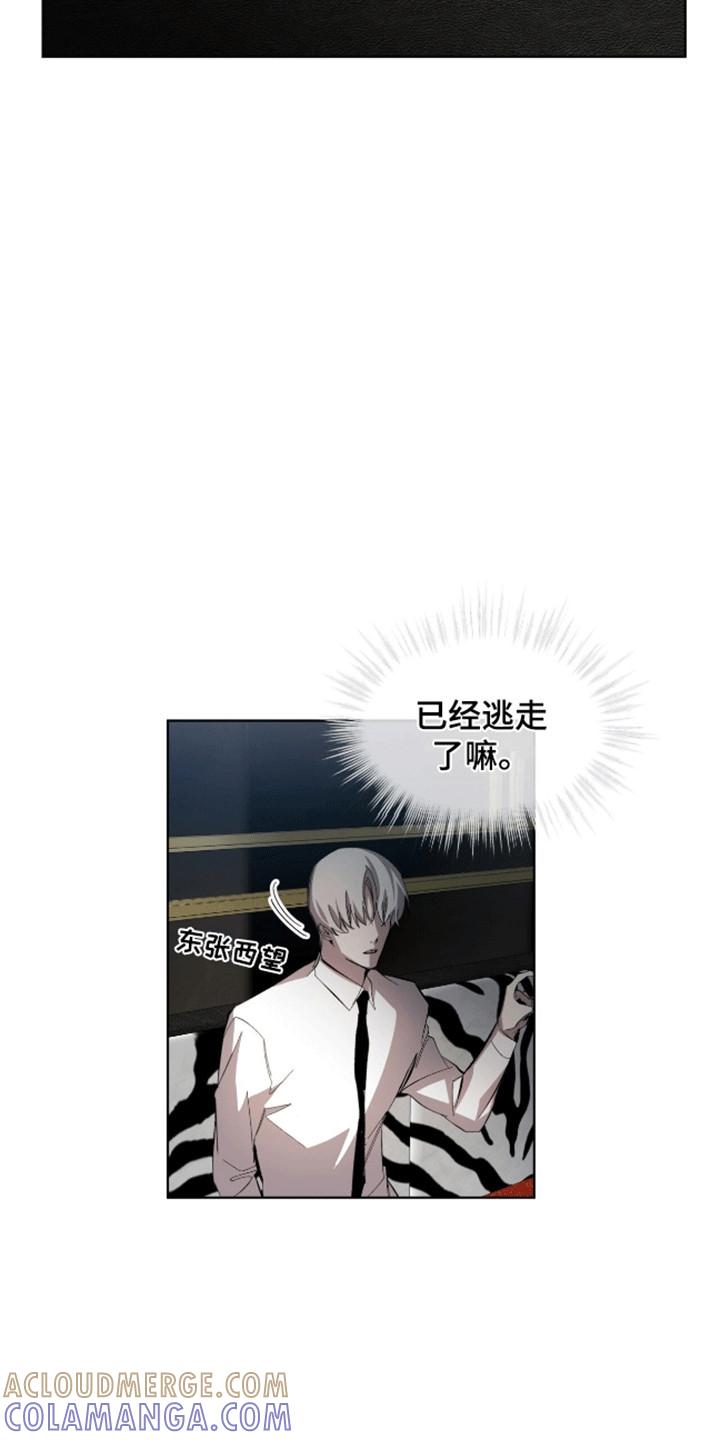 《法外狂徒》第13章：猫咪 第17页