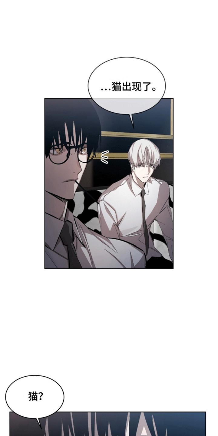 《法外狂徒》第13章：猫咪 第14页