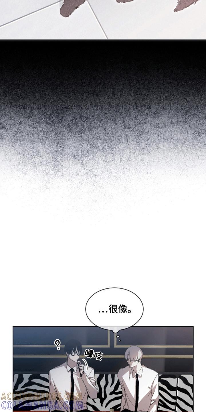 《法外狂徒》第13章：猫咪 第21页